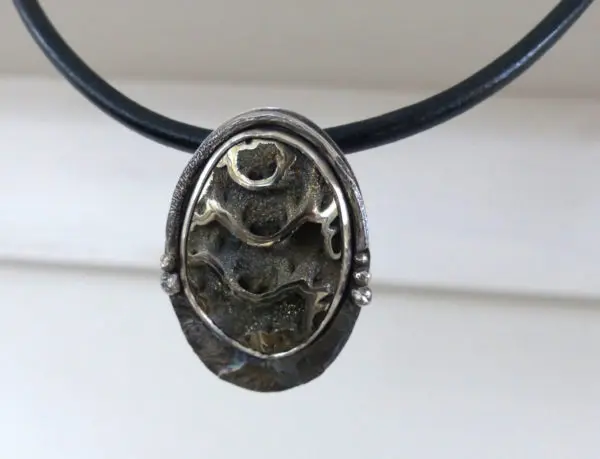 Ancient Ammonite